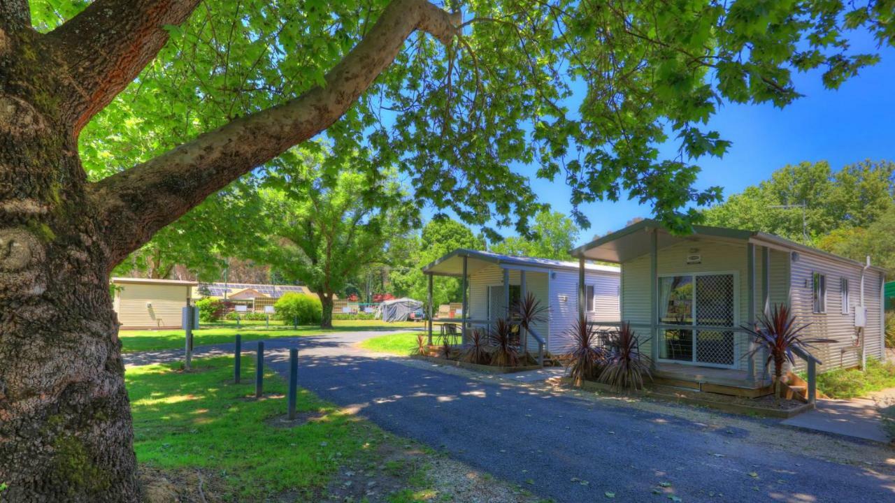 Myrtleford Holiday Park Exterior foto